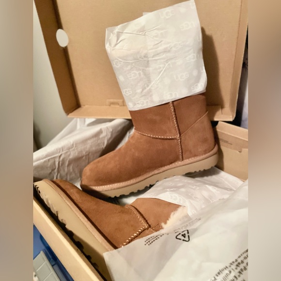 BNWT UGG size 7US W Estera boot in chestnut - Picture 1 of 4